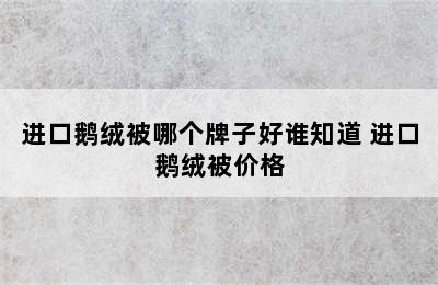 进口鹅绒被哪个牌子好谁知道 进口鹅绒被价格